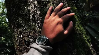 MI 12 LITE video test - Xiaomi 12 lite Cinematic Video Test - Taman Maluku Bandung Cinematic