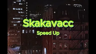 DESINGERICA - SKAKAVACC (speed up)