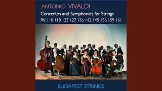 Concerto for Strings in G Minor, RV 156: I. Allegro