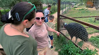 Парк птиц Воробьи - краткое посещение. 28.08.22