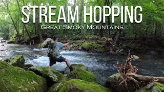 Stream Hopping: SMOKY MOUNTAIN TROUT SLAM:  Fly Fishing Late Spring | Episode 1