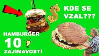 HAMBURGER 10 ZAJÍMAVOSTÍ  KTERÉ JSTE  NEVĚDĚLI