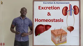 19. Excretion and Homeostasis; Definition of Terms Biology Form 2