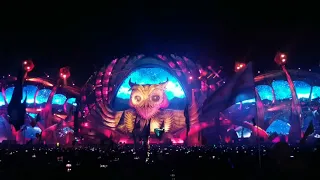 Electric Daisy Carnival 2021 Opening Ceremony