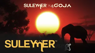 Suleymer x Dj Goja - Wilderness ( Official Single )