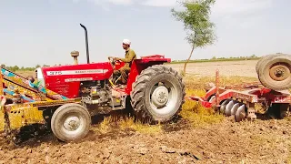 375 Massey is preparing the land for paddy 🚜❤❤❤❤💪👈#masseyfergusontractors #tractorlover