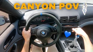 BMW M3 (E46) POV Canyon Run / RTD Shifter Review