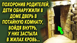 После ухода родителей, они обнаружили в доме дверь в потайную комнату, а войдя во внутрь…