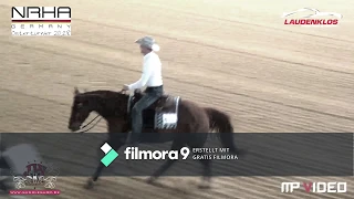 TRAIN STATION REINING HORSES