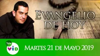 Daily Gospel in spanish, 21 May 2019 - Tele VID