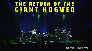 Steve Hackett - The Return of The Giant Hogweed (Live at The Royal Albert Hall)