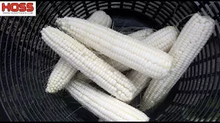 How to Grow the Best Sweet Corn