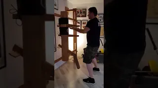 IP Man Wing Chun Wooden Dummy Form
