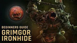 BEGINNERS GUIDE to GRIMGOR Ironhide - 2021 Tips and Tricks