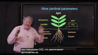 Брюс Багби  Секреты эффективности светодиодных ламп для выращивания в помещении.