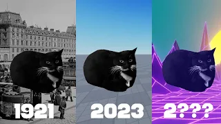 maxwell the cat dance in different years