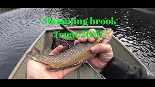 Slamming brook trout 2024