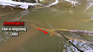 Memancing ikan gurame liar,  joran sampai patah karena babon gurame/kalui