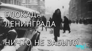 «…Ничто не забыто». Судебный процесс по делу о признании блокады Ленинграда актом геноцида