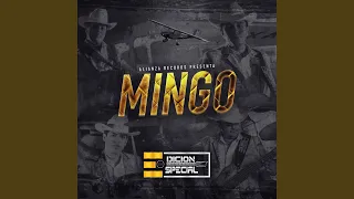 Mingo