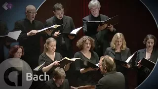 J.S. Bach: Motet BWV 227 'Jesu, meine Freude' - Vocalconsort Berlin [HD]