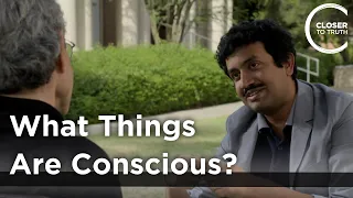 Anirban Bandyopadhyay - What Things are Conscious?