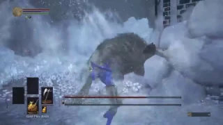 SL1 No rolling/blocking/parrying Champion's Gravetender/Gravetender Greatwolf