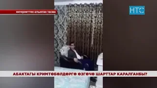 Абактагы кримтөбөлдөр үчүн өзгөчө шарттар каралганбы? / 19.04.19 / НТС