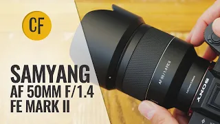 Samyang AF 50mm f/1.4 FE Mark 2 lens review (Full-frame & APS-C)