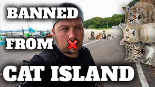 BANNED FROM CAT ISLAND IN JAPAN ❌DO NOT FEED THE CATS❌