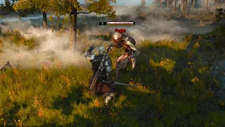 It took me 7 years to realize I could do this / The Witcher 3