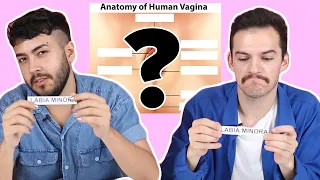 Gay Men Try And Label A Vagina
