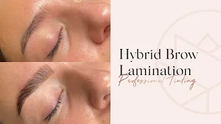 Hybrid Brow Lamination - Step By Step - Tutorial   |  Perfect Eyelash Hybrid Brow & Lash Tint