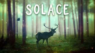 Solace ✿ A Deep Dream Ambient Soundscape | Music for Healing, Meditation, Focus & Sleep