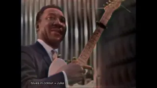 Muddy Waters - Tiger In Your Tank live [Colourised] 1964