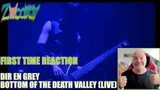 Dir En Grey - Bottom of the Death Valley - Live - (Reaction!) - Atmospherical and unique!