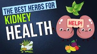 ✅💪THE BEST HERBS FOR KIDNEY HEALTH ✅💪