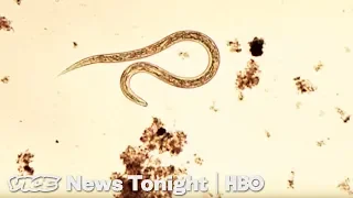 Sewage Parasites & Jail Vapes: VICE News Tonight Full Episode (HBO)
