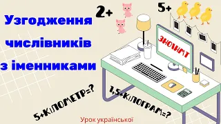 Як правильно узгодити числівник з іменником? Основні правила вживання числівників з іменниками.