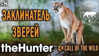 theHunter Call of the Wild #8 🔫 - Заклинатель Зверей - Пума, Аксис, Буйвол