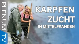 Karpfenzucht in Mittelfranken mit Gabi Schmidt