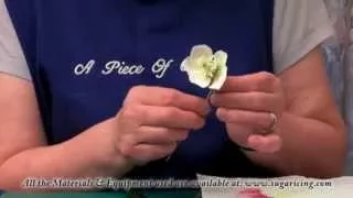 Making a Flower Paste Christmas Rose (Part 2)
