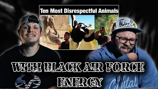 Top 10 Animals with Black Air Force Energy [Reaction]