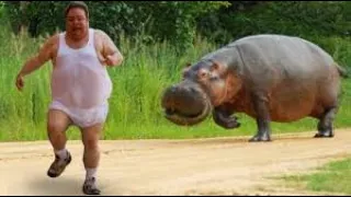 Funniest Animals Scaring People Reactions of 2020 Weekly Compilation 🐷🦆🐛 Funniest World Videos