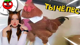 ЗАСМЕЯЛСЯ - ПОДПИСАЛСЯ!! ЛУЧШИЕ ПРИКОЛЫ I 600 СЕКУНД СМЕХА I ТЕСТ НА ПСИХИКУ НЕ ЗАСМЕЙСЯ ЧЕЛЛЕНДЖ