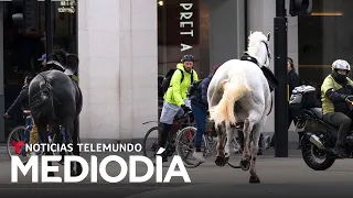 Caballos militares que cabalgaron por Londres participan en ceremonias reales | Noticias Telemundo