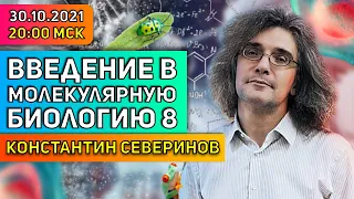 Константин Северинов. Введение в молекулярную биологию: Свой-чужой. Иммунитет.