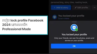 របៀប​ lock profile Facebook 2024 នៅពេលបេីក​ Professional Mode