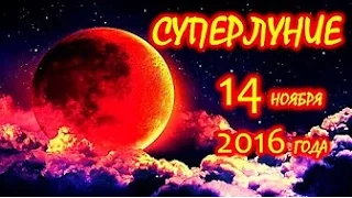 Сенсация!!!! Суперлуние 14 ноября!!!!