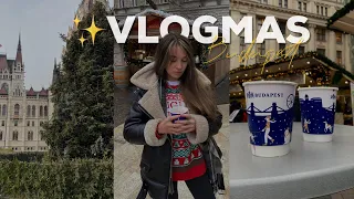 Рождество в Европе 🎄| прогулка по Будапешту | топ мест